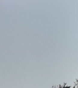 drozdovm497@gmail.com