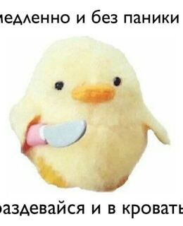 @Nikkita23 — фото 1